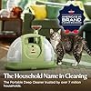 BISSELL Little Green Multi-Purpose Portable Carpet and Upholstery Cleaner, Car and Auto Detailer, with Exclusive Specialty Tools, Green, 1400B - Image 5